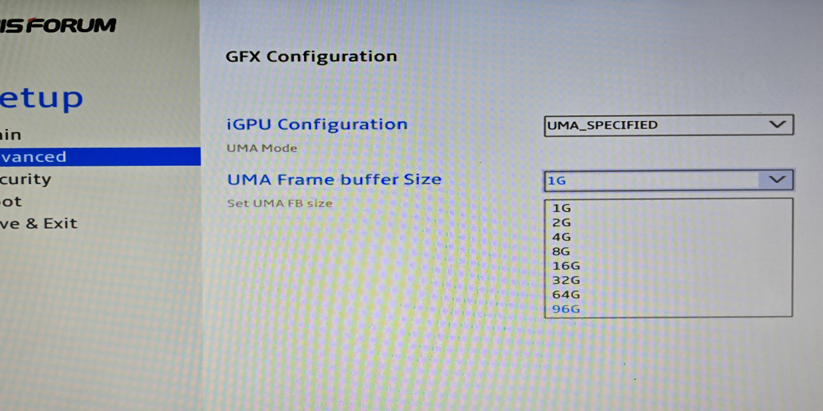 UMA Frame Buffer Size -> 96G